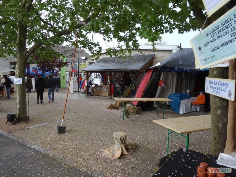 2015_fetes_johanniques_08