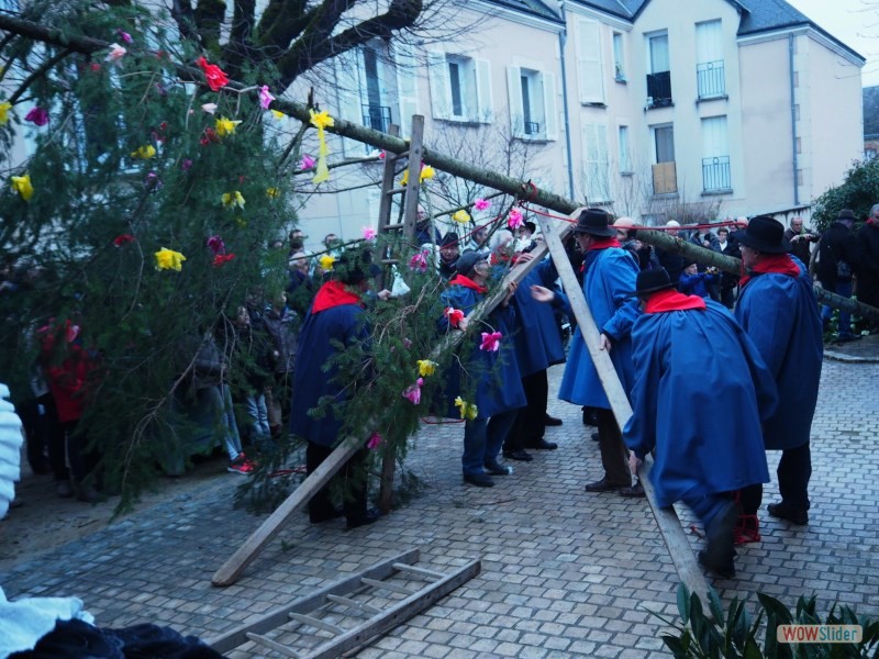 Mise en place du sapin...