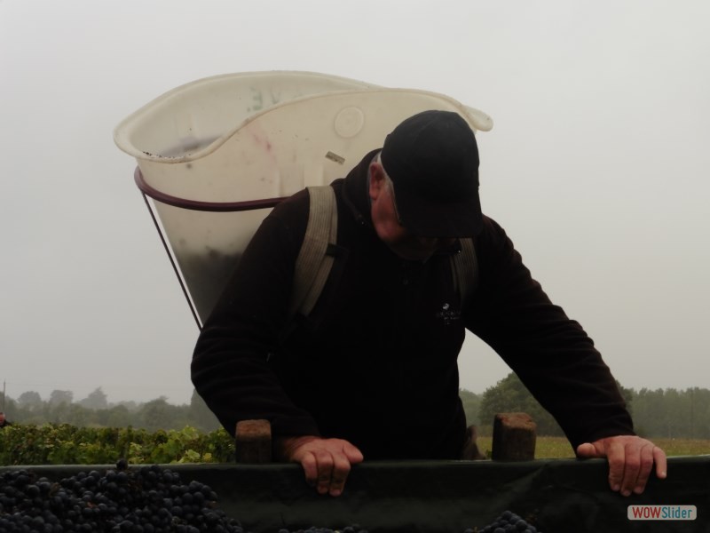 Premières hottes de la cuvée 2017...