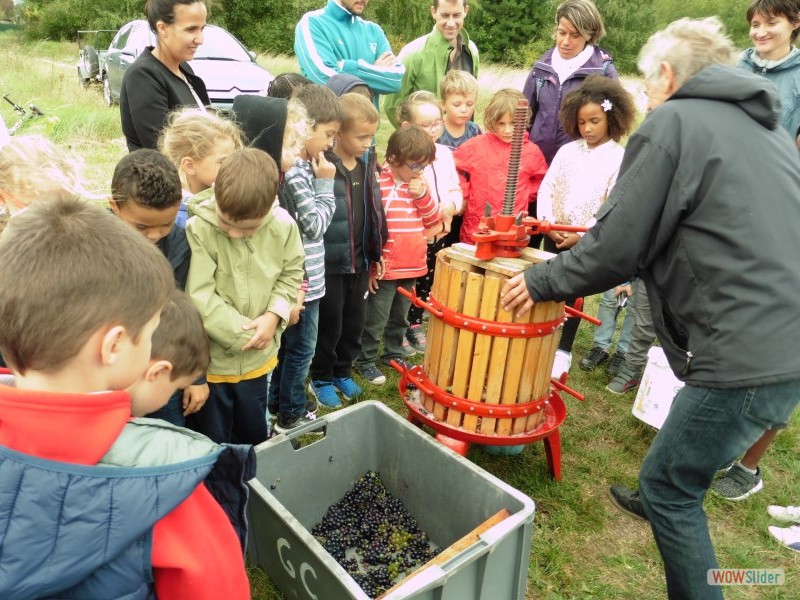 Traditionnelle presse de la vendange des enfants...