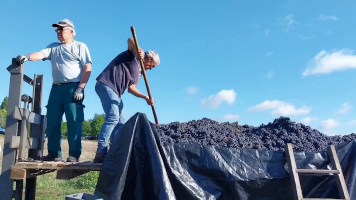 Vignobles de Chécy en automne