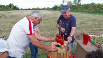Vignobles de Chécy en automne