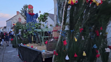 Vignobles de Chécy en hiver