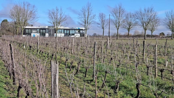 Vignobles de Chécy en hiver