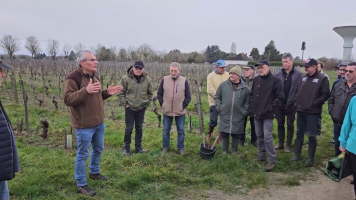 Vignobles de Chécy en hiver