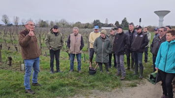 Vignobles de Chécy en hiver
