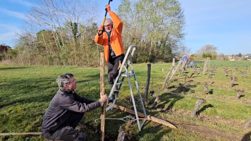 Vignobles de Chécy en hiver